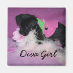 Magnet, Diva Girl