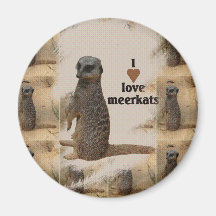 Magnet "Erdmännchen" Kühlschrankmagnete
