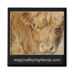 Magnet - Highland Cattle