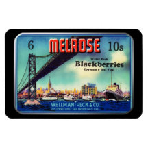 Magnet - Melrose Blackberries, by GalleryGifts