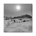magnet noel ours blanc et mouton