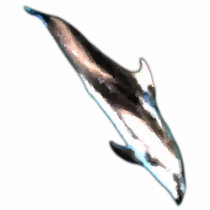 Magnet