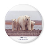 Magnet / Polar Bear and Cubs