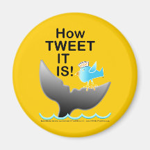 Magnet Template