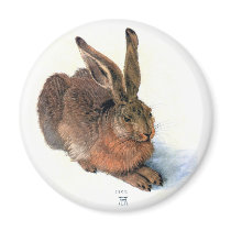 Magnet: The Rabbit