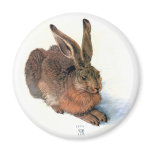 Magnet: The Rabbit