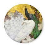 Magnet: White and Blue Peacocks