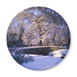 Magnet: Winter Wonderland