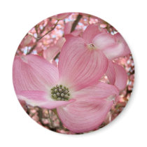 MAGNETS Pink Dogwood Flowers Magnet Office Gifts