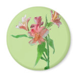 Magnificent Florals Fridge Magnets