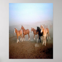 Magnificent horses poster.