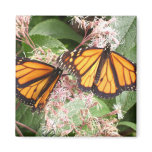 MAGNIFICENT MONARCHS BY GREGORY GALLO FRIDGE MAGNETS