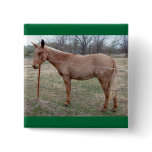 Magnificent Mule! Pin / Button