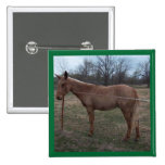 Magnificent Mule! Pin / Button