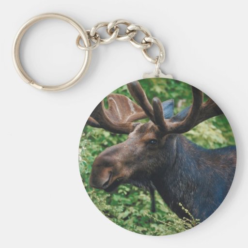 Magnificient Moose Keychain
