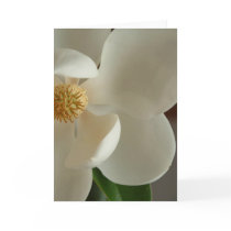 magnolia 2 card