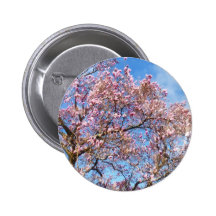 Magnolia Against the Sky Pinback Button