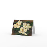 MAGNOLIA BEAUTIES cards