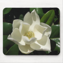 Magnolia Bloom Mouse Mats