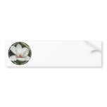 Magnolia Blossom Bumper Sticker bumper stickers