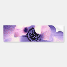 Magnolia Blossom Bumper Stickers