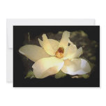 Magnolia Blossom Invitation - Flower Invites
