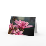 Magnolia Blossom Notecard