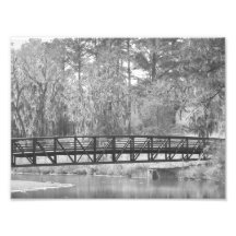 Magnolia Bridge Photo Art