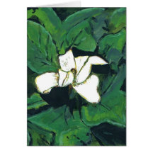 Magnolia Cards