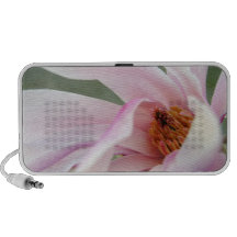 Magnolia Doodle Speaker