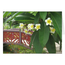 Magnolia Exotique Card