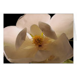 Magnolia Flower Greeting Card
