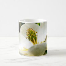 Magnolia Flower Close Up Coffee Mug