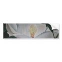magnolia flower oil painting bumper stickers