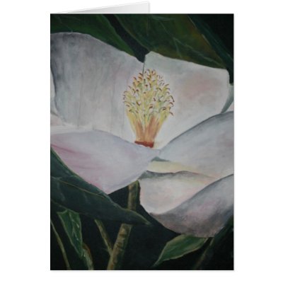 magnolia flower oil painting cards by dereklovessheila