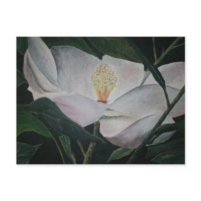 magnolia flower oil painting postcards by dereklovessheila