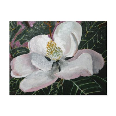 magnolia flower painting acrylic wall art postcards by dereklovessheila