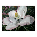 magnolia flower painting acrylic wall art postcards