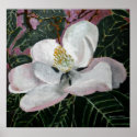 magnolia flower painting acrylic wall art posters