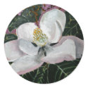 magnolia flower painting acrylic wall art stickers