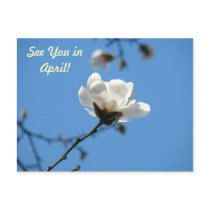 Magnolia Flower Postcards Service Maintenance