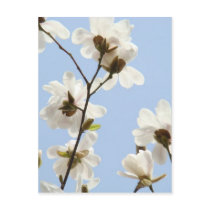 MAGNOLIA FLOWERS 38 Cards Art Gifts Mugs
