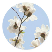 MAGNOLIA FLOWERS 38 Cards Art Gifts Mugs