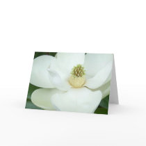 Magnolia magnified card