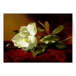 Magnolia on Red Velvet - Card