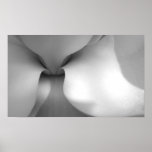 Magnolia posters