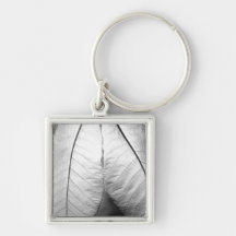 Magnolia Revolution Key Chains