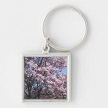 Magnolia Sky Key Chains