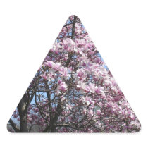 Magnolia Sky