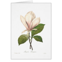 Magnolia soulangiana greeting card